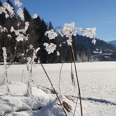 Griesbachhof-Wilder Kaiser Оберндорф  Экстерьер фото