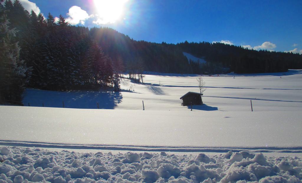 Griesbachhof-Wilder Kaiser Оберндорф  Экстерьер фото